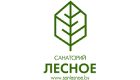 +логотип